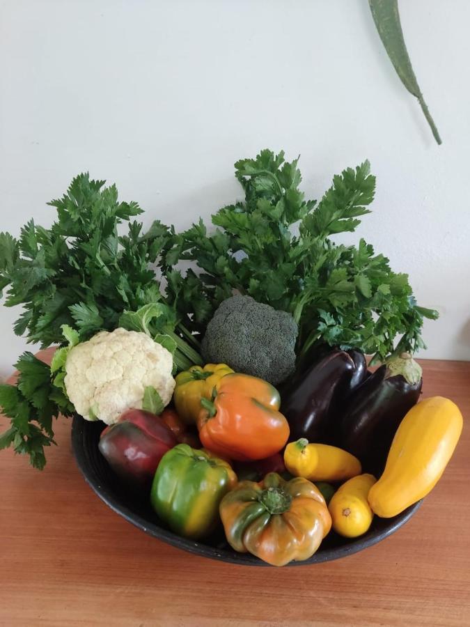 Finca Jardin Del Agua Sasaima Dış mekan fotoğraf