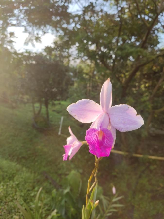 Finca Jardin Del Agua Sasaima Dış mekan fotoğraf