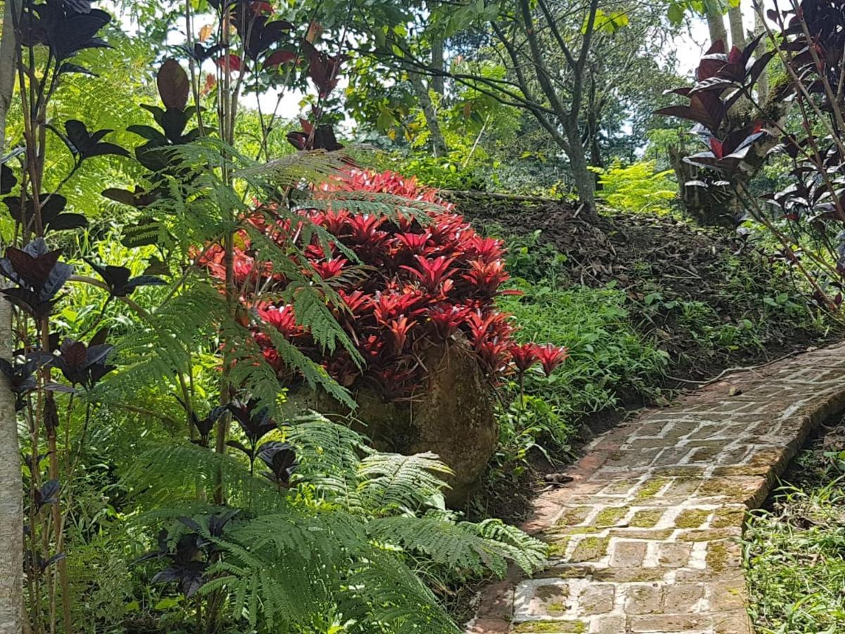 Finca Jardin Del Agua Sasaima Dış mekan fotoğraf