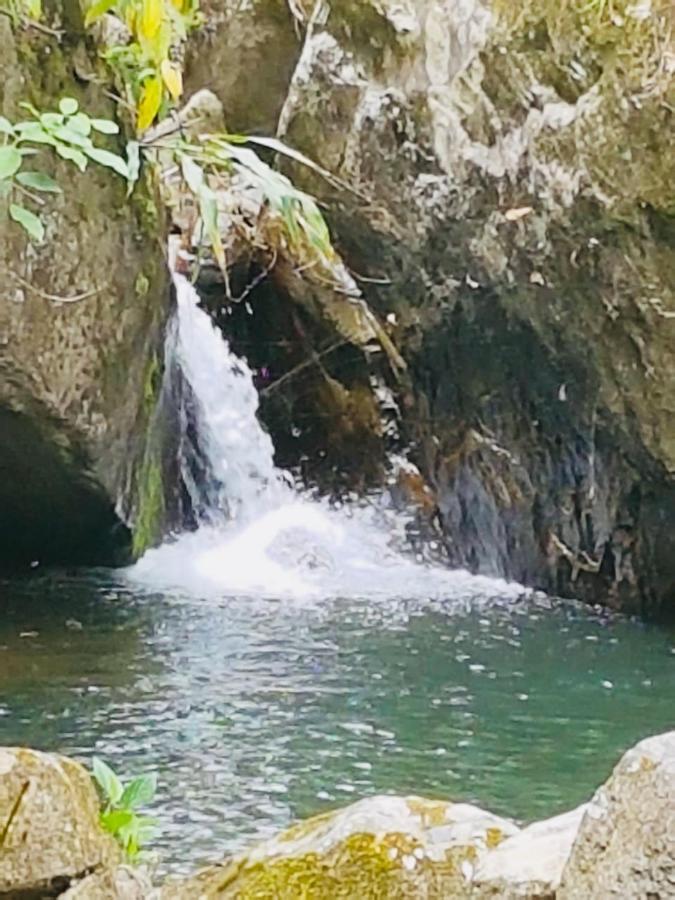 Finca Jardin Del Agua Sasaima Dış mekan fotoğraf