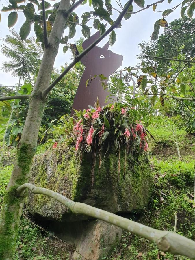 Finca Jardin Del Agua Sasaima Dış mekan fotoğraf