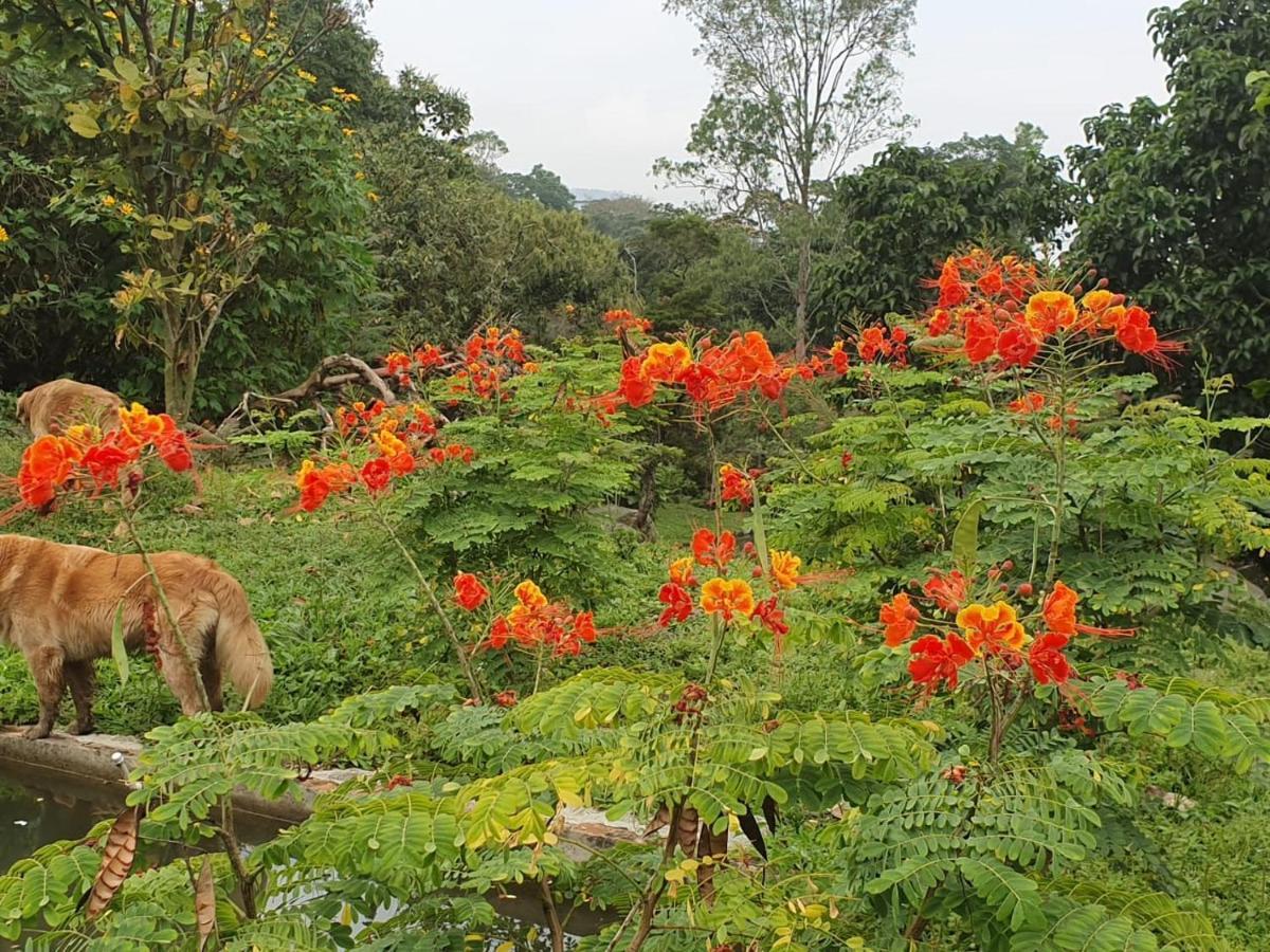 Finca Jardin Del Agua Sasaima Dış mekan fotoğraf